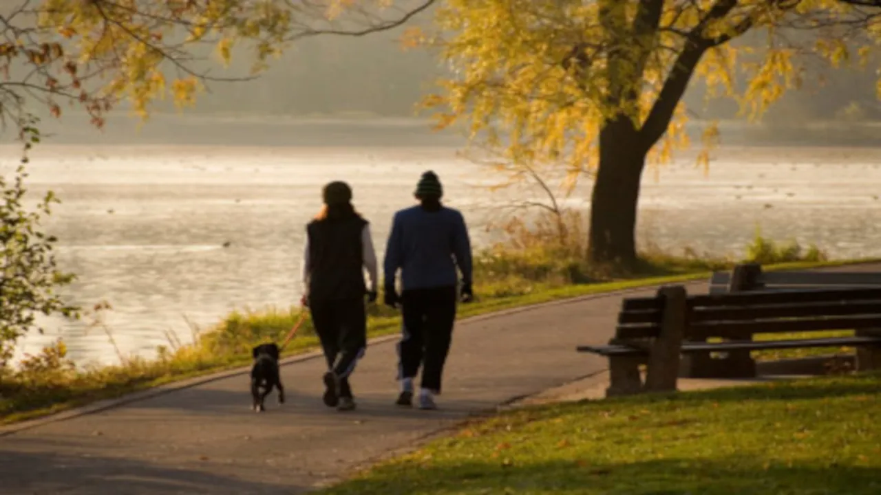 κίνηση στη φύση