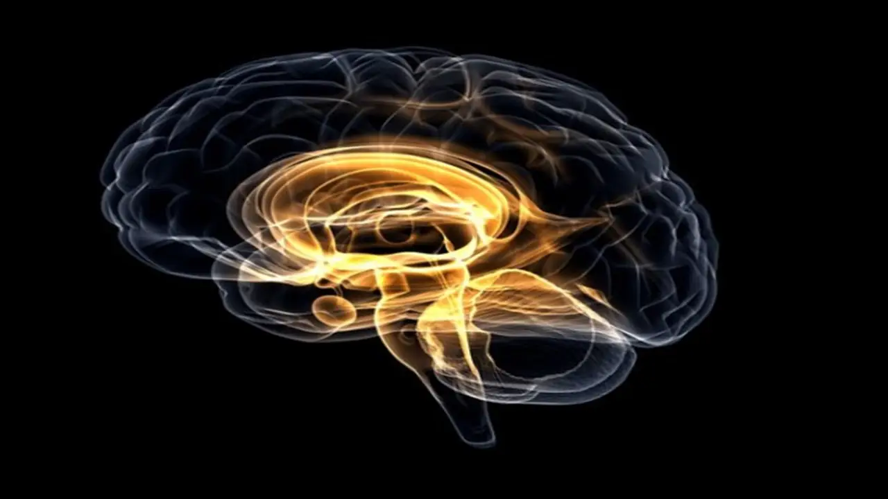 μεταιχμιακό σύστημα