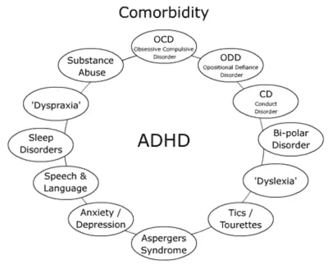 ADHD : Features & treatment adhd comorbidity