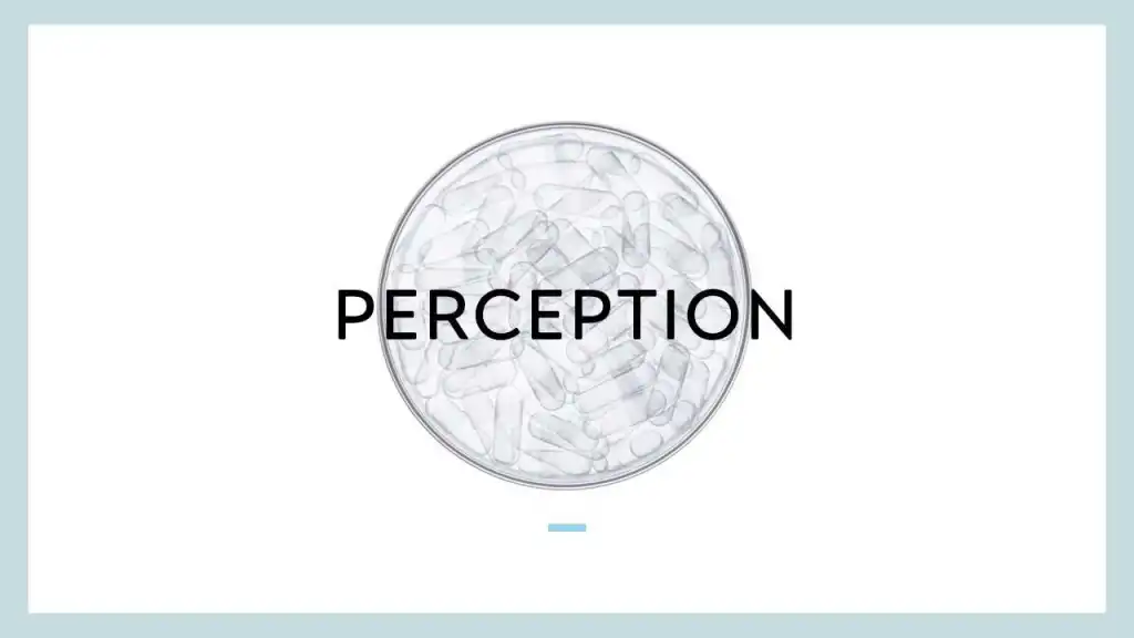 perception