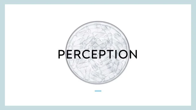 perception