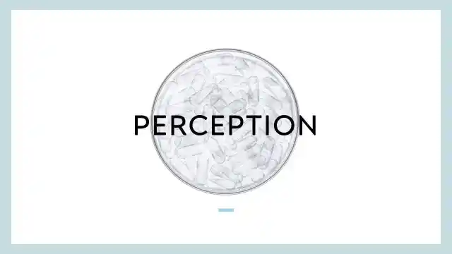 perception