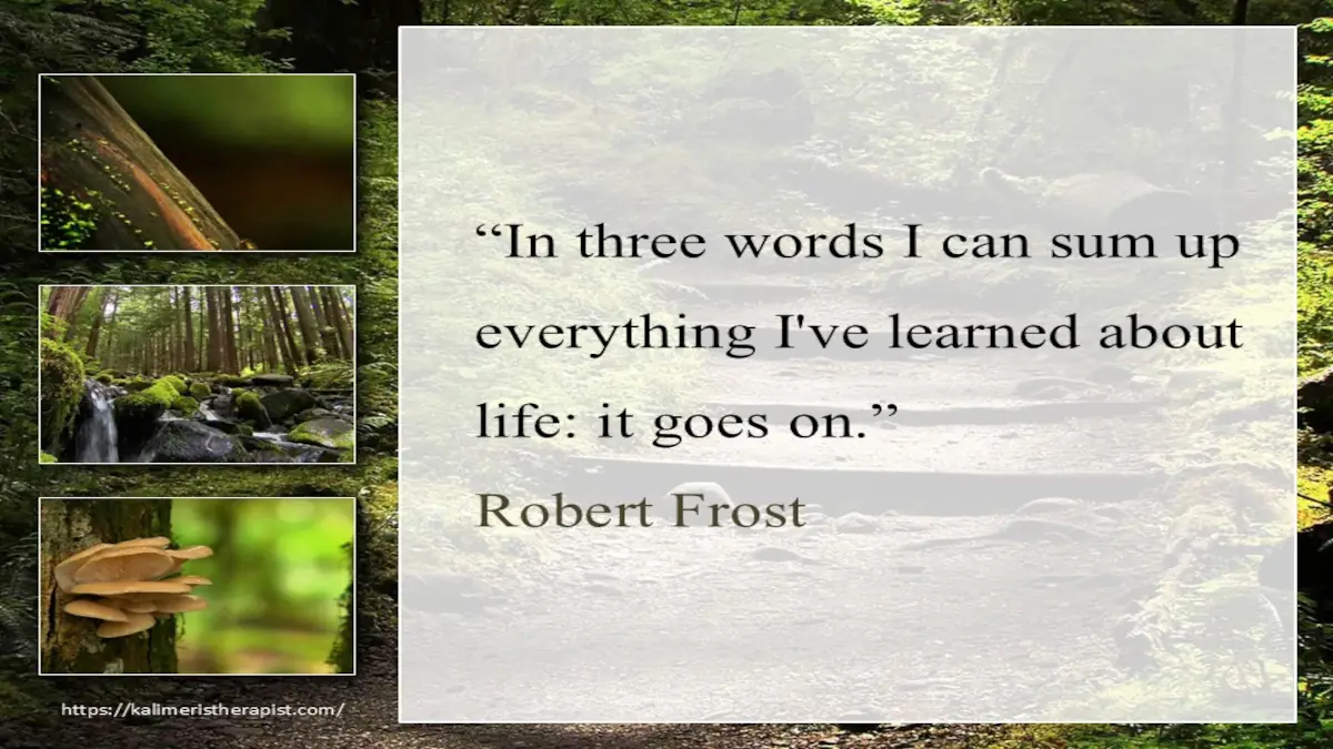 η ζωή συνεχίζεται