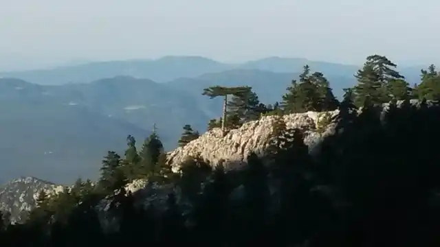 Δύσκολες αποφάσεις στην ψυχική νόσο δύσκολες αποφάσεις