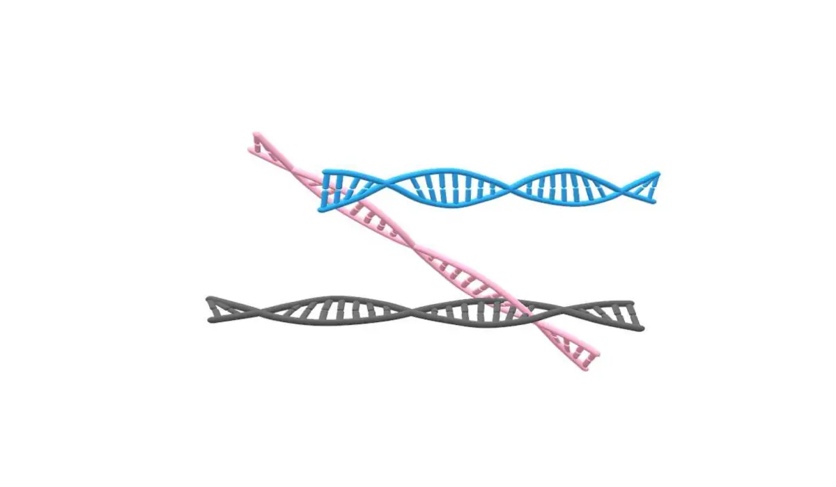 επιγενετική