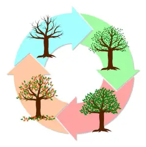 Εποχική Κατάθλιψη εποχική κατάθλιψη