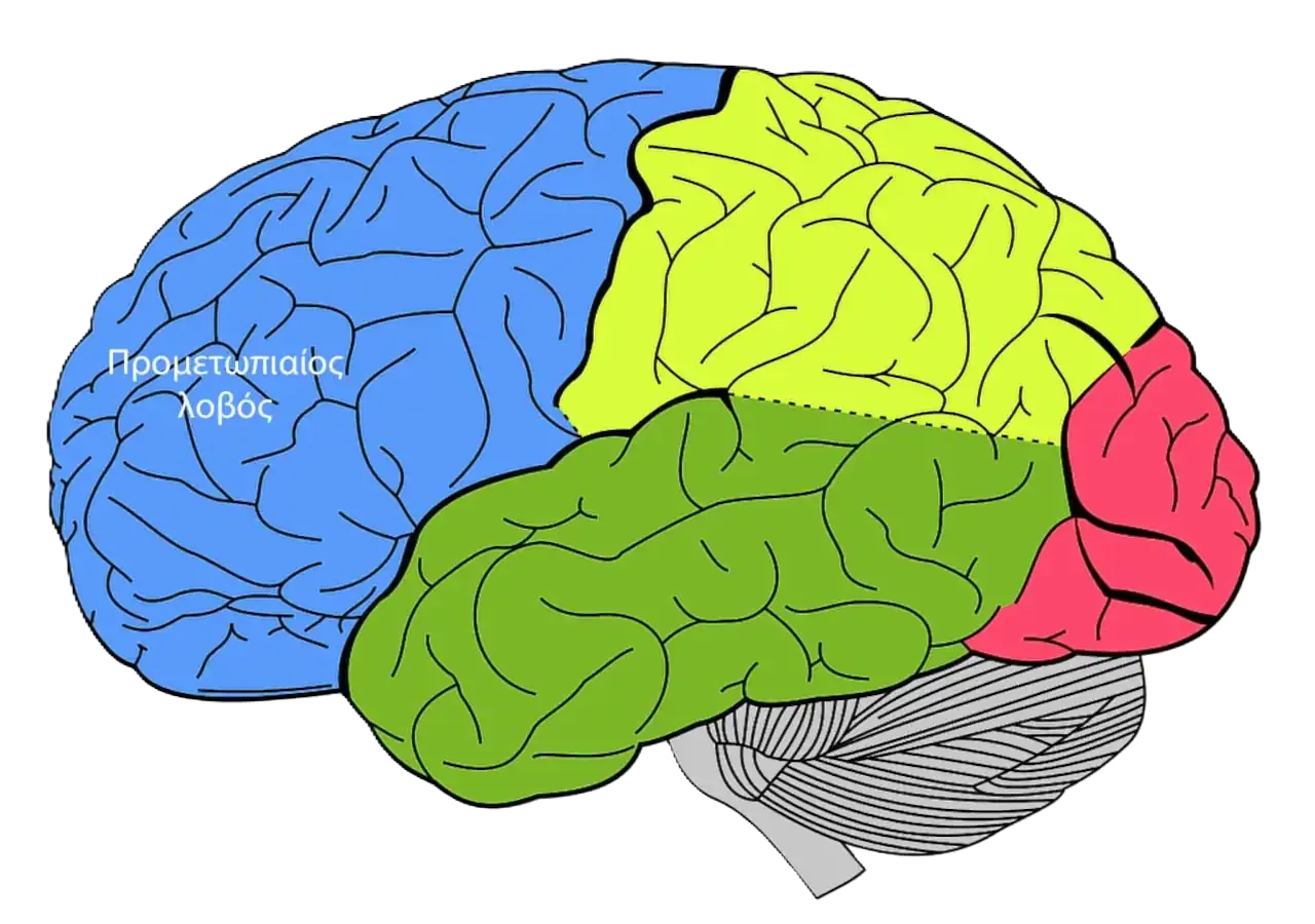 προμετωπιαίος λοβός