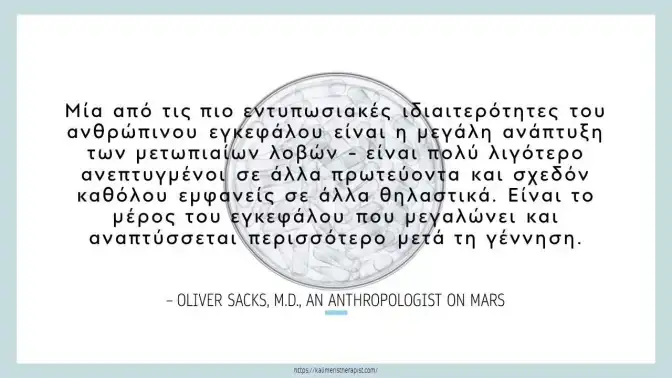 Προμετωπιαίος λοβός μετωπιαίος λοβός του ανθρώπου