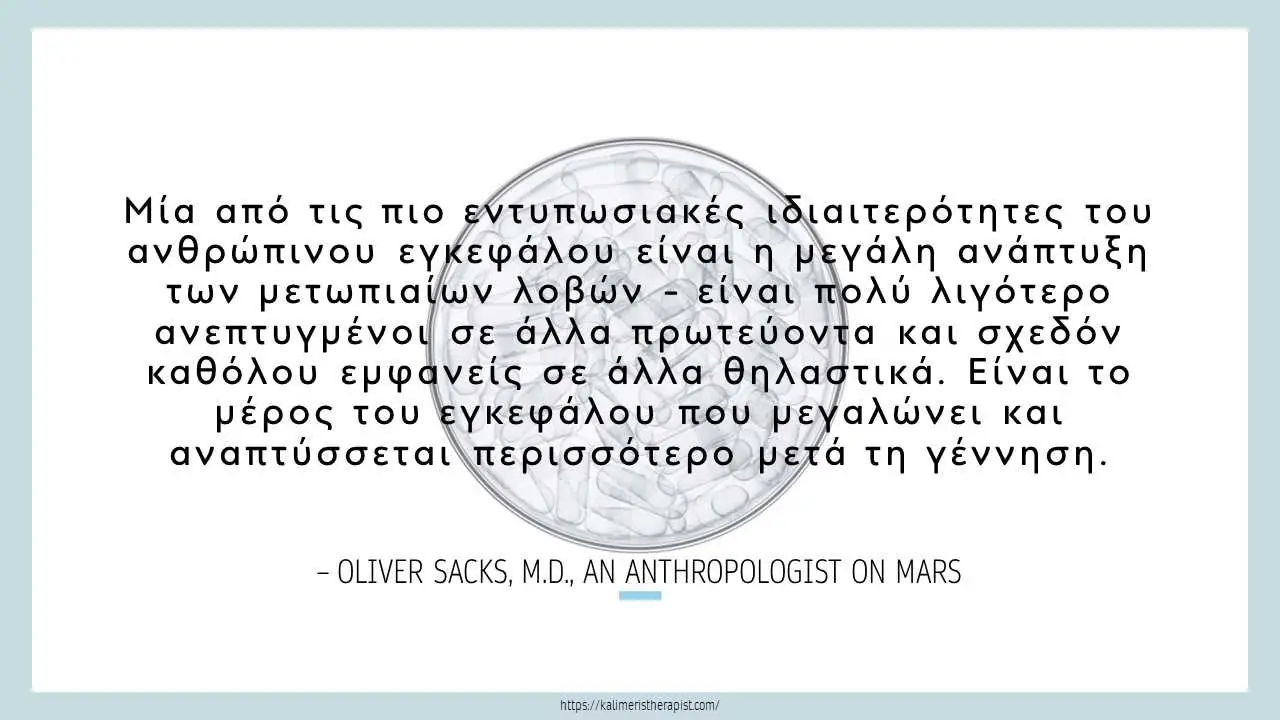 Προμετωπιαίος λοβός μετωπιαίος λοβός του ανθρώπου