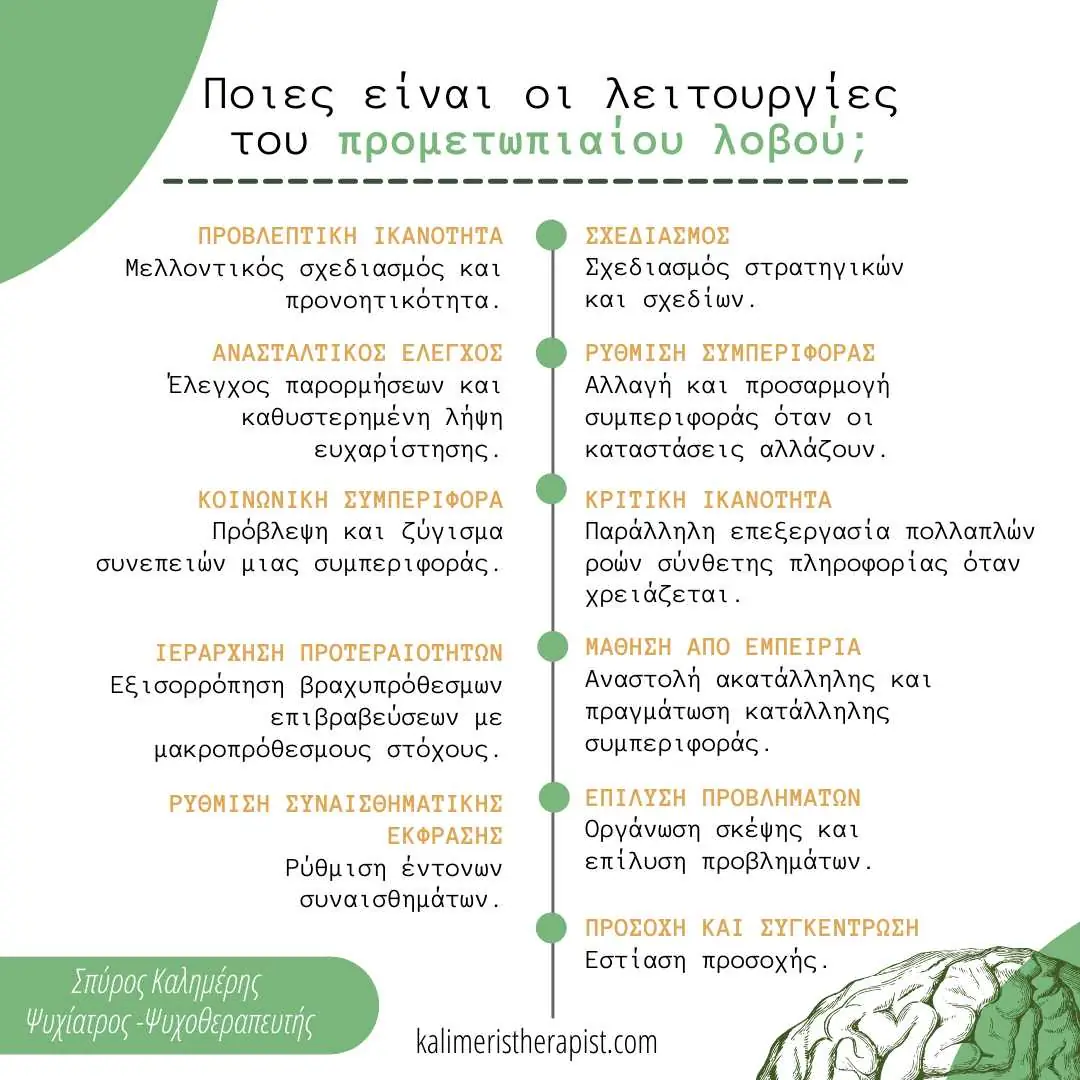 προμετωπιαίος λοβός λειτουργίες προμετωπιαίος λοβός λειτουργίες