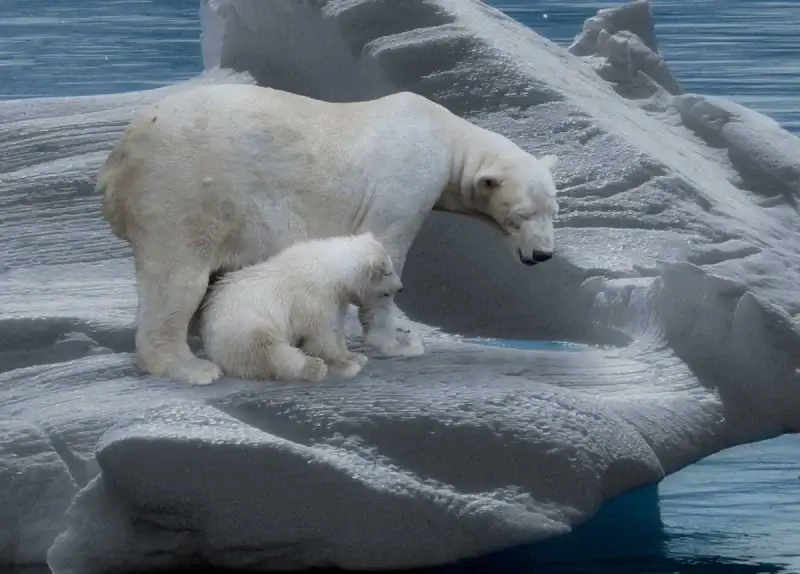 Eco-anxiety : κλιματικό άγχος για την περιβαλλοντική απειλή λιωσιμο παγων κλιματικη αλλαγη