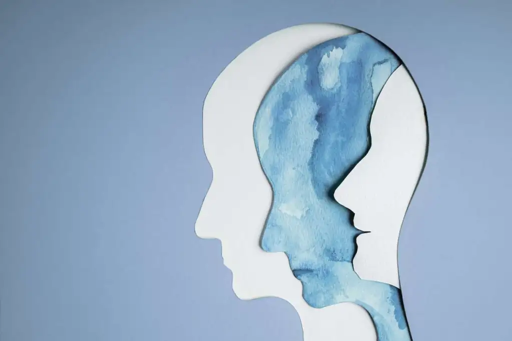 σχιζοσυναισθηματική διαταραχή