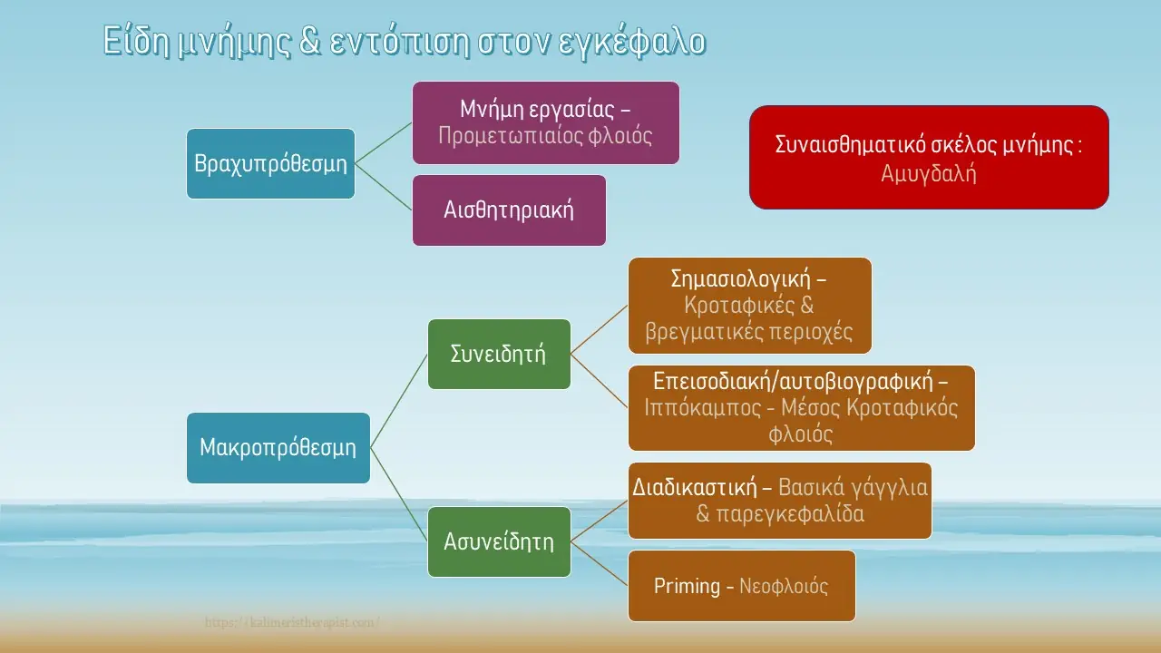 είδη μνήμης