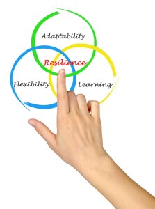 παράμετροι ανθεκτικότητας