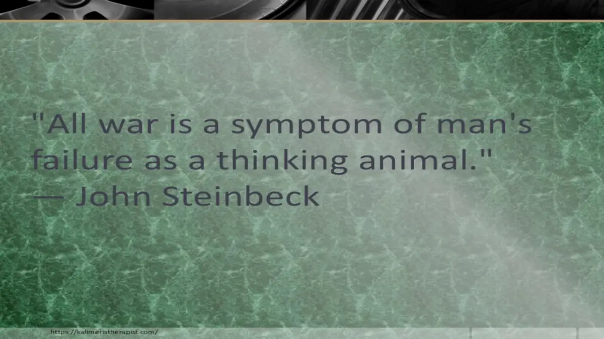 Όλοι οι πόλεμοι είναι ένα σύμπτωμα της αποτυχίας του ανθρώπου ως σκεπτόμενο ζώο.