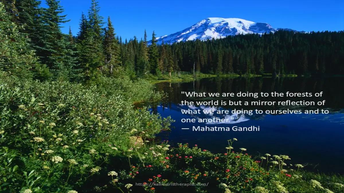 Αυτό που κάνουμε στα δάση του κόσμου είναι μόνο ένας καθρέφτης που αντικατοπτρίζει αυτό που κάνουμε στον εαυτό μας και ο ένας στον άλλο.