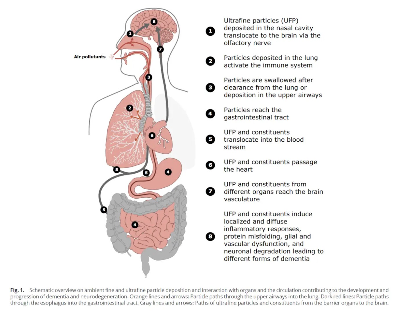 σωματίδια ατμοσφαιρική ρύπανση όργανα
