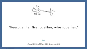 Νευροπλαστικότητα και αρχή του Hebb - neurons that fire together wire together