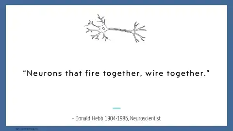 neurons that fire together wire together Neuroplasticity and Hebbian principle - neurons that fire together wire together