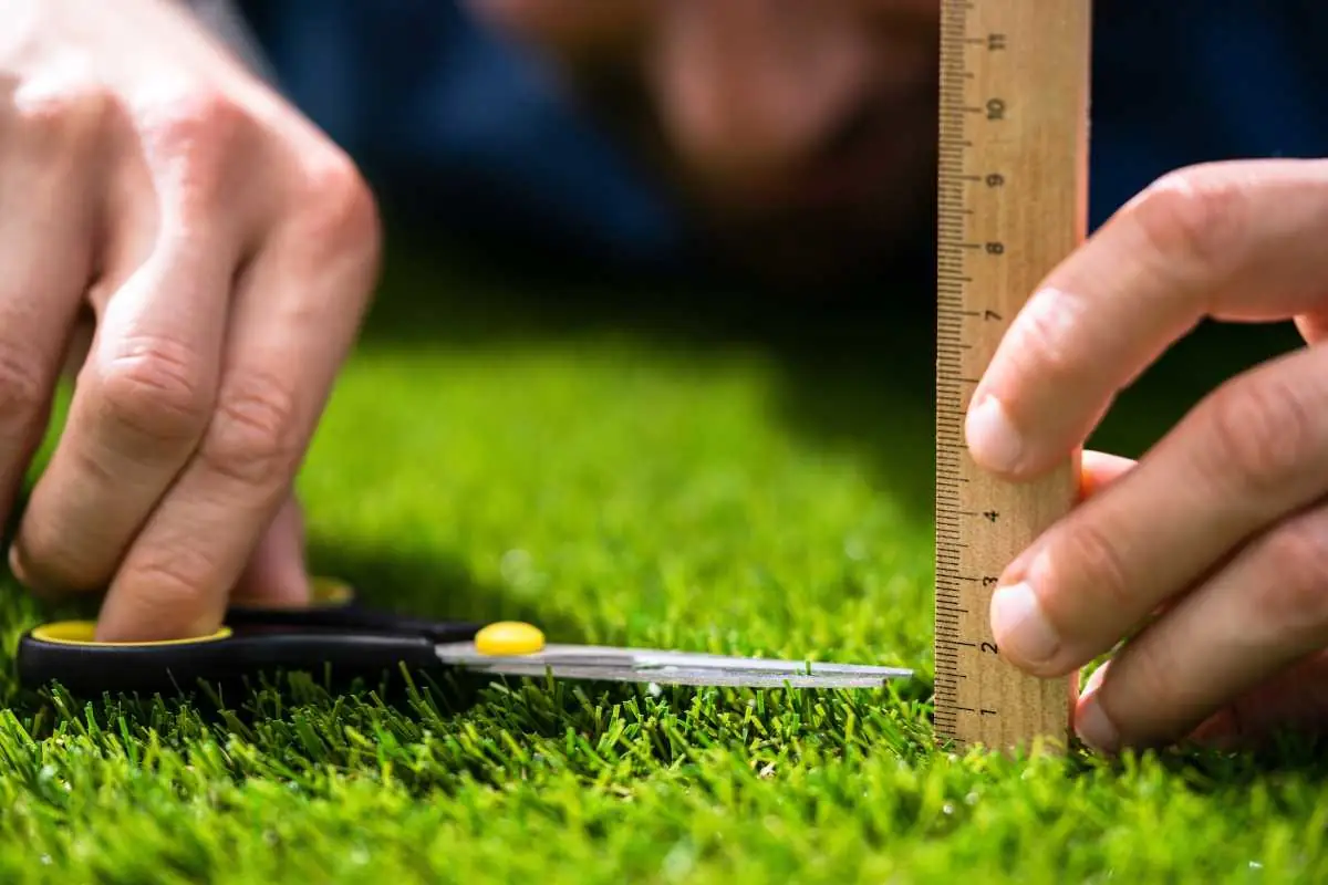 ocd ψυχαναγκασμός συμμετρίας