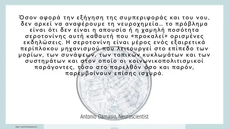 Σεροτονίνη, εγκέφαλος και φάρμακα σεροτονινη συμπεριφορα