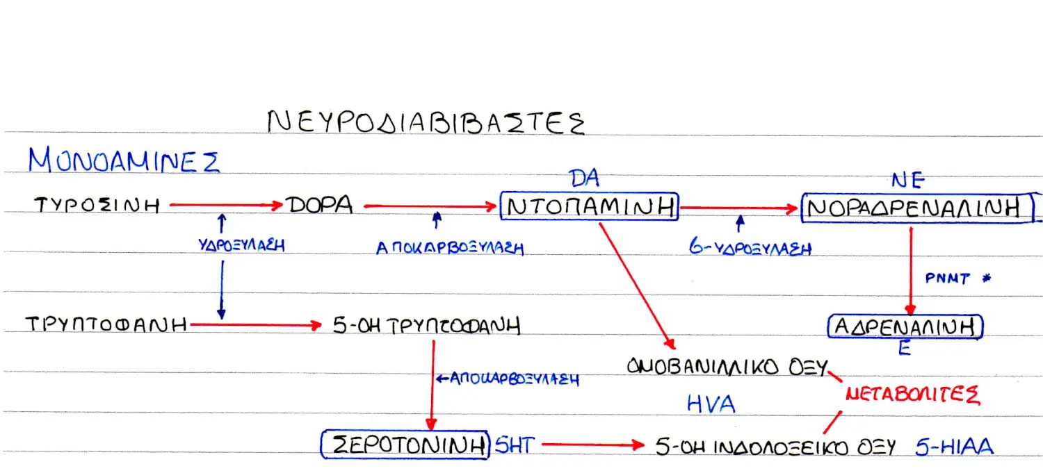 σύνθεση νοραδρεναλίνης αδρεναλίνης ντοπαμίνης σεροtoνίνης