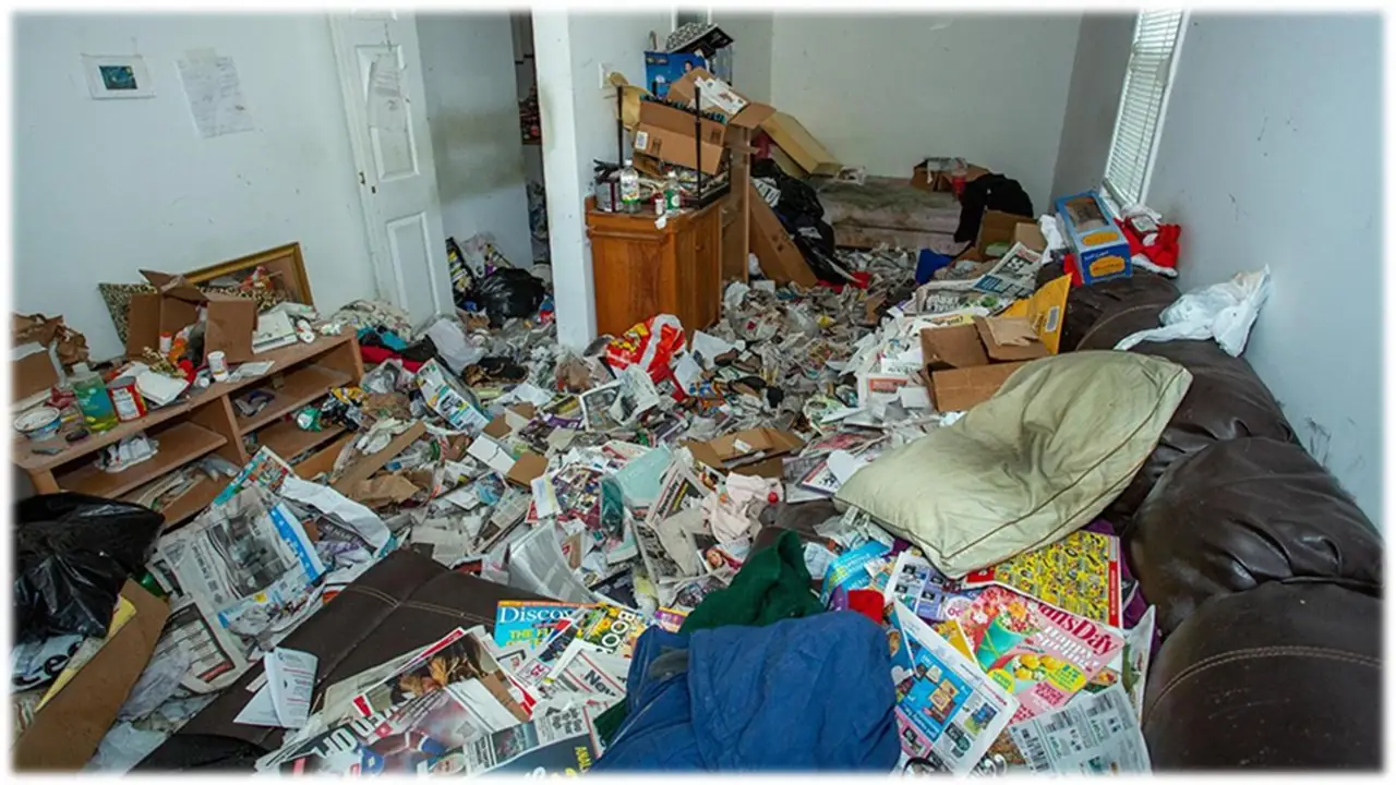 Διαταραχή παρασυσσώρευσης διαταραχή παρασυσσώρευσης