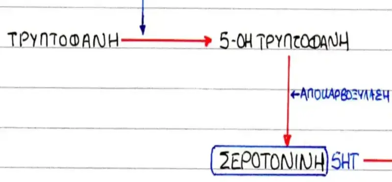 Σεροτονίνη, εγκέφαλος και φάρμακα σύνθεση σεροτονίνης
