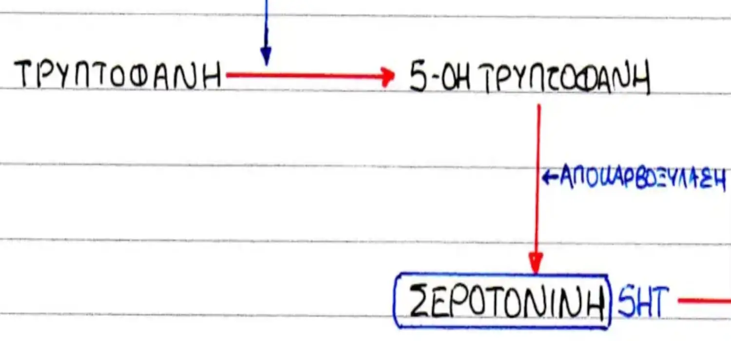 σύνθεση σεροτονίνης