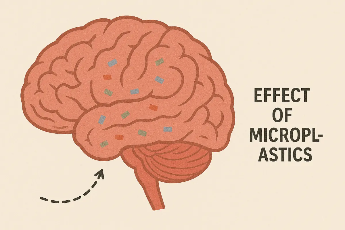 μικροπλαστικά
