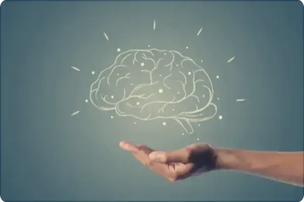 Μικροπλαστικά και Εγκέφαλος : Κίνδυνοι και μέτρα πρόληψης εγκέφαλος νευροεπιστήμη