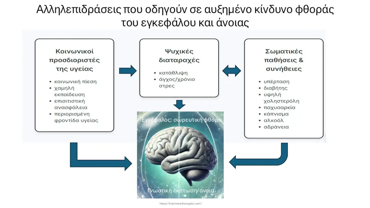 Αλληλεπιδράσεις που οδηγούν σε παράγοντες κινδύνου για άνοια και φθοράς του εγκεφάλου 